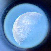 artem (@mint_artem) 's Twitter Profile