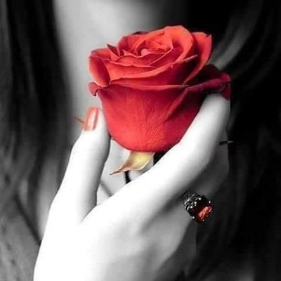 #‏‏ثوبیہ احمد🍁さんのプロフィール画像