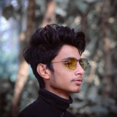 sarkar13167's profile picture. an infp-a