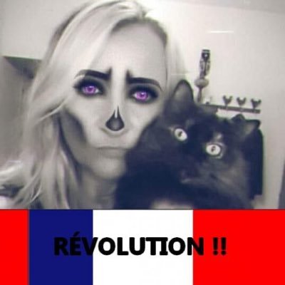 Nouveau compte l’autre fermé par X 🤬 Vive la France 🇫🇷 ALF pour les animaux Non Vax .Fan inconditionnel de Dépêche Mode depuis les débuts 🌹 et Kaamelott 👑