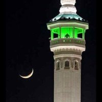 شــــذرات 🌿 (@khotabb) 's Twitter Profile Photo