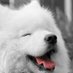 4x (@annnd64284) Twitter profile photo 4x (@annnd64284) Twitter profile photo