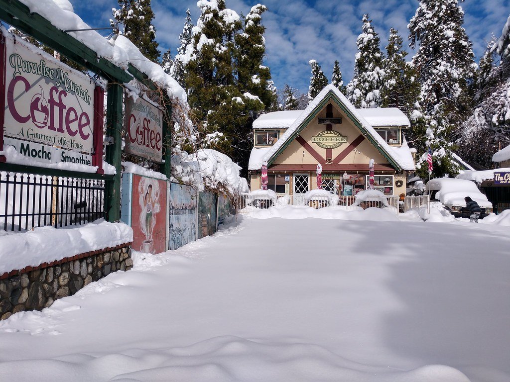 ztiut090fijdr's profile picture. Thank you for your attention. I took to Twitter to suggest some suitable cryptocurrencies and trends.