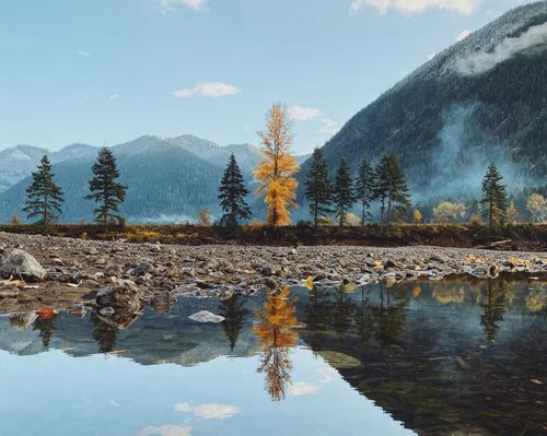 oqxo332hhhec's profile picture. Thank you for your attention. I took to Twitter to suggest some suitable cryptocurrencies and trends.