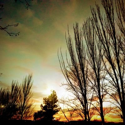 Vallecana de nacimiento y corazón, ripense de adopción.