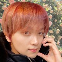 haechi's lover (@_farahabdllh) 's Twitter Profile
