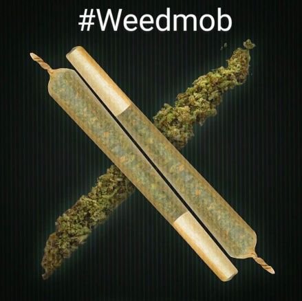 #Ferngesteuert vom
😂👌#Weedmob #EntkriminalisierungSofort 
#ITKellerkind ( #PTBS )krank )-|-(