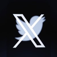 Lokusblume (@lokusblume26514) 's Twitter Profile Photo Lokusblume (@lokusblume26514) 's Twitter Profile Photo