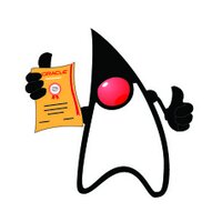 Java Certification (@javacert) 's Twitter Profile