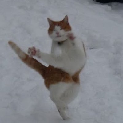 용맹고앵さんのプロフィール画像