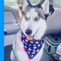 XRP2495 (@xrp2495) 's Twitter Profile