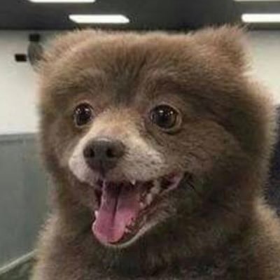 Jijiarehappy's profile picture. 인겜닉다름/게임/그림/어른