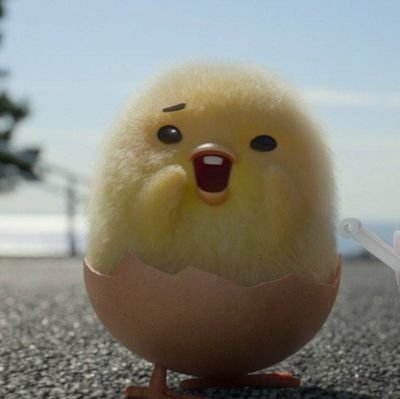 piiiyyooooo's profile picture. 