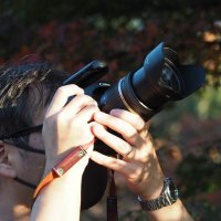べち (@bechi_photo) 's Twitter Profile