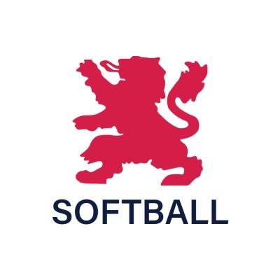 svlionssoftball Profile Picture