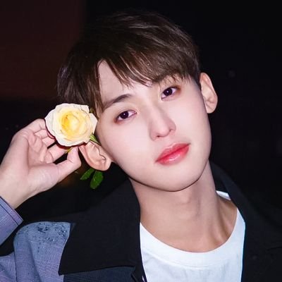 밍고💐 Profile