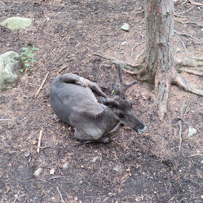 GuTshotz13's profile picture. 