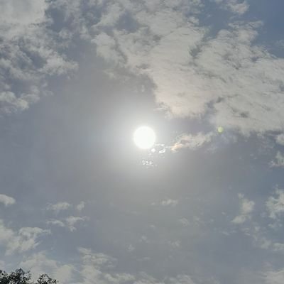 NFeasting's profile picture.
