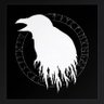 draganov92's profile picture. 