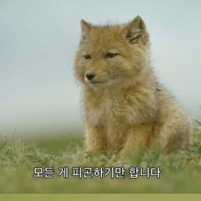 자취생 Xem 🇰🇷さんのプロフィール画像