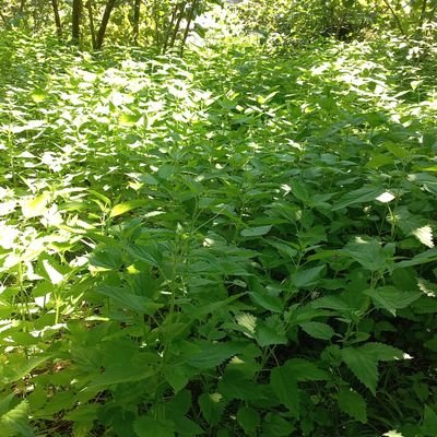 hasancakmak2025's profile picture. paw_1pejsncg3spxaw5w84p77aebc19rqdhs6rkxmqsruqqjbm9ha5wzyew9gzxk