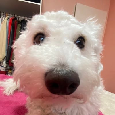 Agus_Ramondino's profile picture. •ॐ•