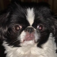 Tracey (@mdrog1987) 's Twitter Profile