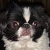 Tracey (@mdrog1987) Twitter profile photo Tracey (@mdrog1987) Twitter profile photo