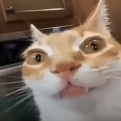 figcohvohd7rfoh's profile picture. sh