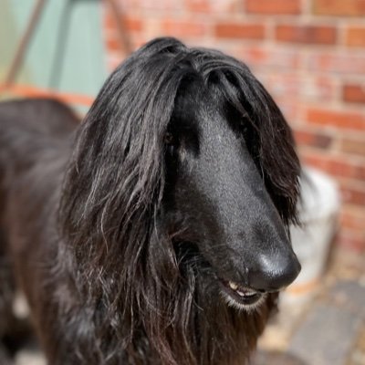 MerylHector666's profile picture. 