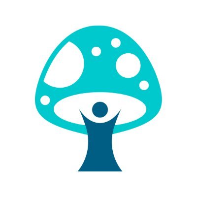 🍄 Providing holistic mushroom products to promote a healthy lifestyle. Discover the healing power of nature with ShroomBuddy. ✨