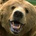 Jay (@xxthebigbearxx) Twitter profile photo Jay (@xxthebigbearxx) Twitter profile photo