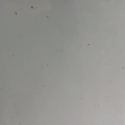 Sindividualista's profile picture. How did we get here?