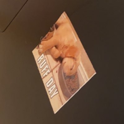 dc104b's profile picture. 