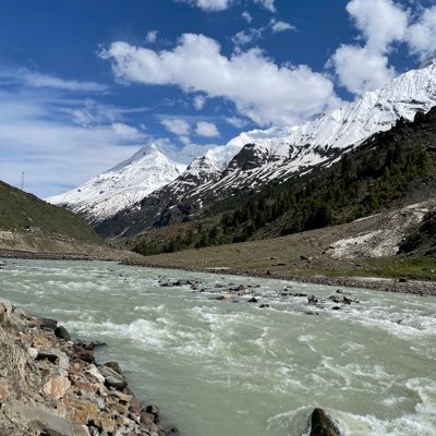 paramsaini1's profile picture. 