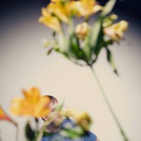 BFTT (@bfttyco) 's Twitter Profile Photo BFTT (@bfttyco) 's Twitter Profile Photo