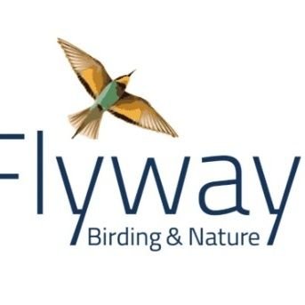 Father, Birder, conservation warrior. Owner and founder of Flyways Birding and Nature Tours.