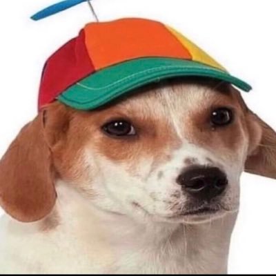 coomacola's profile picture. he/him 23