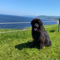 Jennifer cornick (@cornickjcornick) 's Twitter Profile