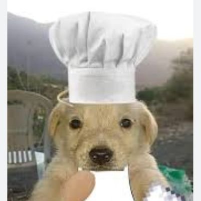JoumblatD's profile picture. 