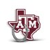 Texas A&M Equestrian (@AggieEquestrian) Twitter profile photo