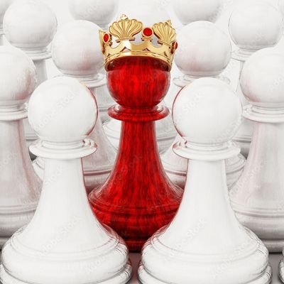 Un navarrico que se atreve a dar el salto de profundizar en el apasionante mundo del Ajedrez. ♟️

Mi usuario en https://t.co/7AysHWP4No: El_Peoncico