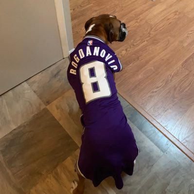 Based in Turkey, travels the world.   Biggest Sacramento Kings fan in the world. Born and raised in Europe #SacramentoProud