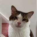 Jon Clark - @jon_d_clark - Twitter