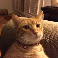 Rebecca Key (@rebeccajkey) 's Twitter Profile Photo Rebecca Key (@rebeccajkey) 's Twitter Profile Photo
