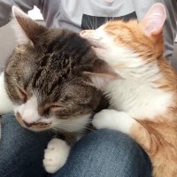 Alixia (@alixia1313) 's Twitter Profile Photo Alixia (@alixia1313) 's Twitter Profile Photo
