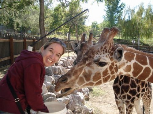 joanierothe's profile picture. 