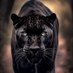 Enrique charles (@enriquecha80) Twitter profile photo Enrique charles (@enriquecha80) Twitter profile photo