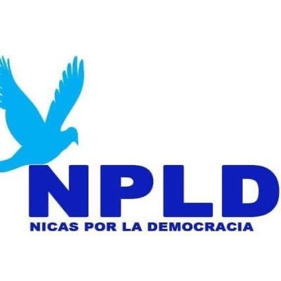 somos nicaragüenses que seguimos vigilando y apoyando el proceso de cambio en nicaragua.