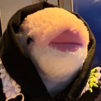 とまてぃな (@tomathina) 's Twitter Profile Photo とまてぃな (@tomathina) 's Twitter Profile Photo